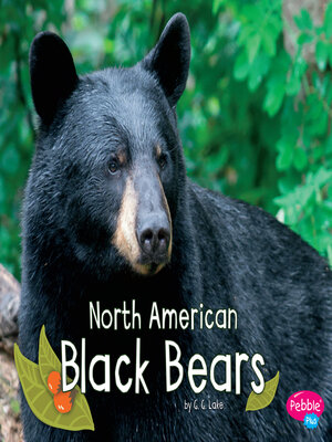 cover image of North American Black Bears